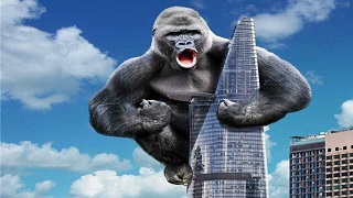 Tòa nhà khiến chàng Kong thích thú này ở thành phố nào?