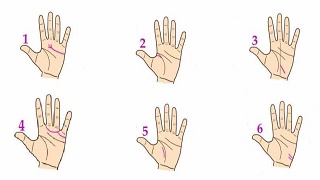 Đường chỉ tay của bạn giống với bàn tay nào nhất?