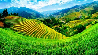 Phần lãnh thổ Việt Nam hẹp nhất theo chiều Đông Tây thuộc địa bàn tỉnh nào?
